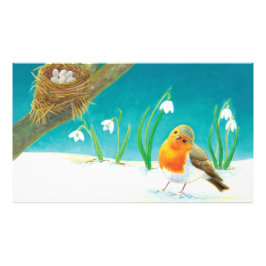 Foto Ilustracion Red Robin