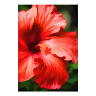 Foto Ilustracion Vibrante Red Hibiscus