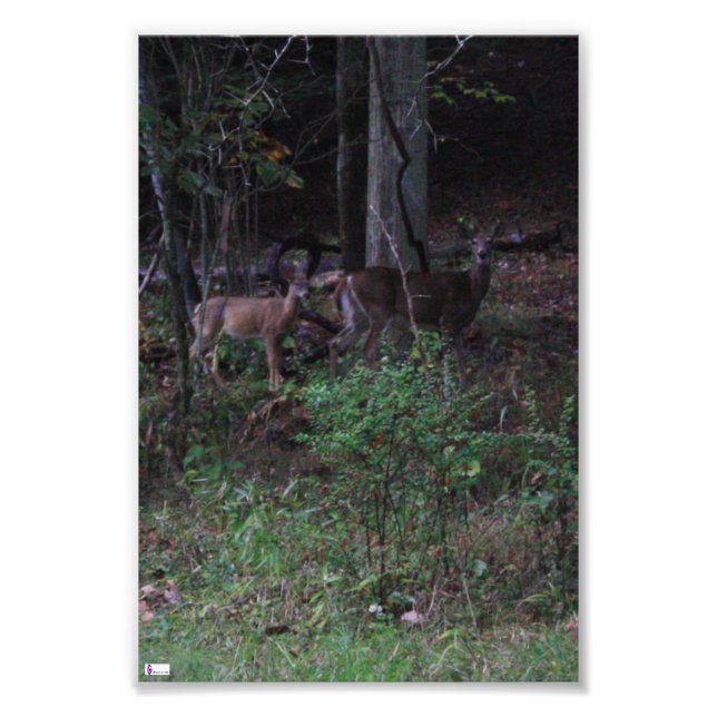 Foto Imagen de amigos (Frente)