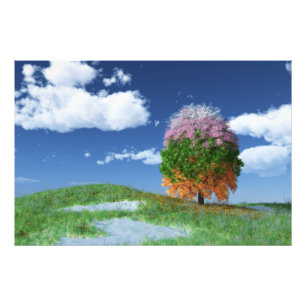 Foto Imagen de árbol de temporada