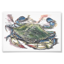 Imagen de arte de Crab Azul