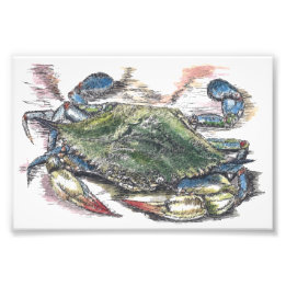 Foto Imagen de arte de Crab Azul