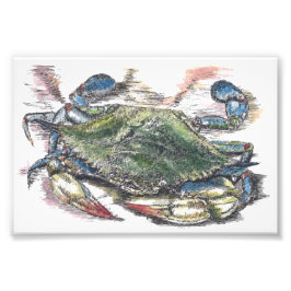 Foto Imagen de arte de Crab Azul