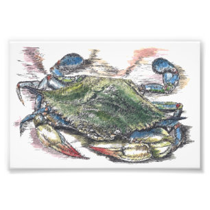 Foto Imagen de arte de Crab Azul