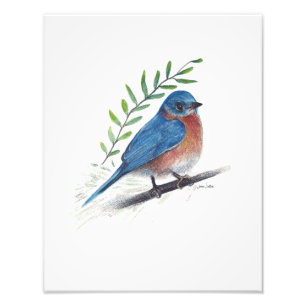 Foto Imagen de arte de pájaro azul