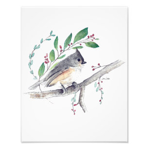 Foto Imagen de arte de pájaro de Titmouse (en inglés)