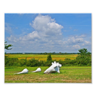Foto Imagen de escultura de la cubierta marina