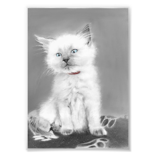 Foto Imagen de gatito adorable (Frente)