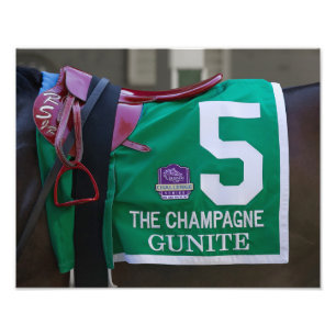 Foto Imagen de Gunite Saddlecloth