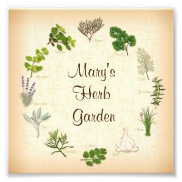 Foto Imagen de Herb Garden