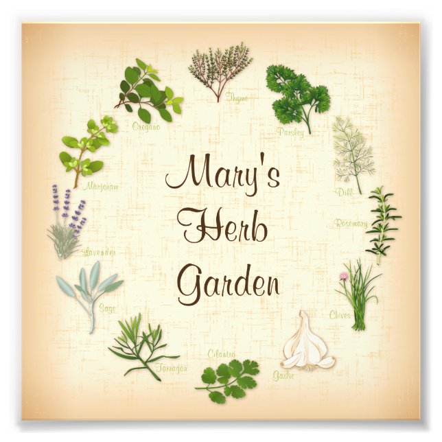 Foto Imagen de Herb Garden (Frente)