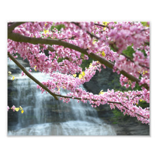 Foto Imagen de la cascada She-qua-ga de 10"x8"