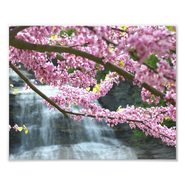 Foto Imagen de la cascada She-qua-ga de 10"x8" (Frente)