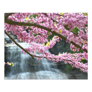 Foto Imagen de la cascada She-qua-ga de 20"x16"