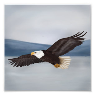 Foto Imagen de pintura de águila calva