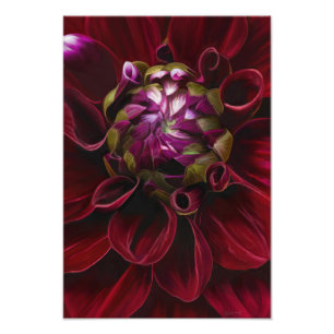 Foto Imagen de Red Dahlia