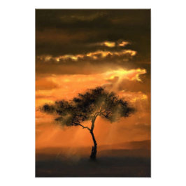 Foto Imagen de Sunset Photo de Londo Tree