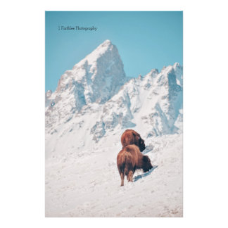 Foto Imagen de Wall Art Mountain Bison