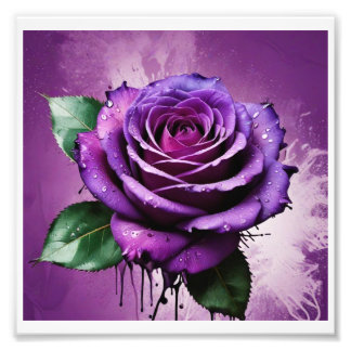 Foto imagen digital, rosa púrpura