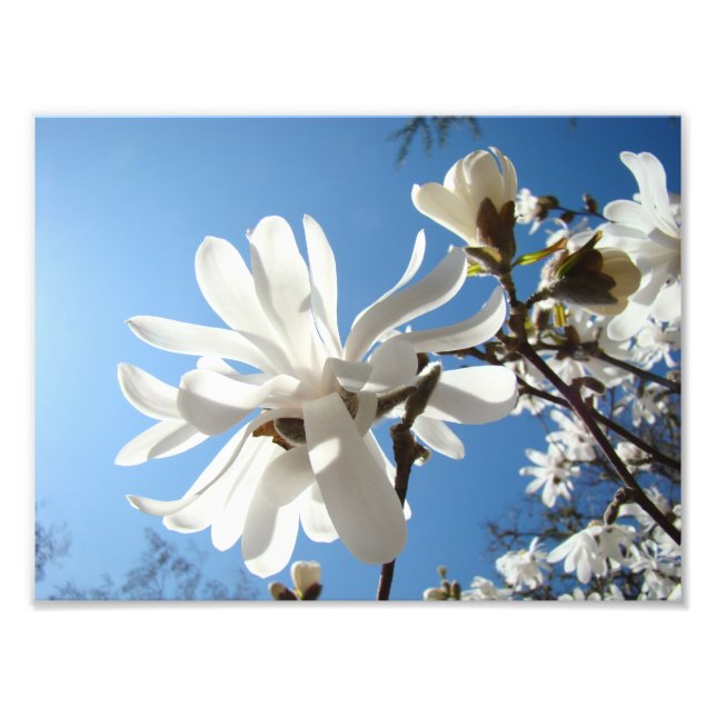 Foto Imágenes de arte fotográfico Flores de Blue Sky Ma (Frente)