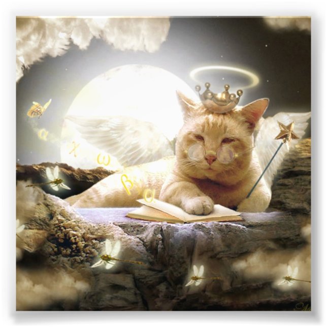 Foto Imágenes de gato en el cielo. (Frente)