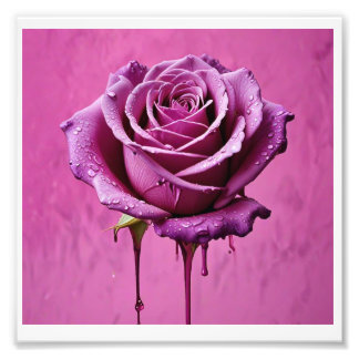 foto impresa digital , hermosa rosa rosa rosa.