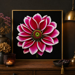 Foto Impresión artística de Dahlia Rosa