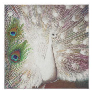 Foto Impresión artística de plumas de pavo real blanco