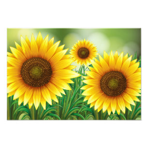 Foto Impresión artística-Girasoles
