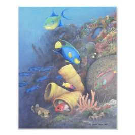 Foto Impresión Bella Artes Santa Rosa Wall 1