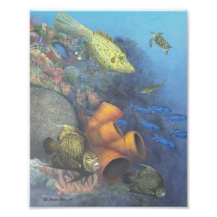 Foto Impresión Bella Artes Santa Rosa Wall 2