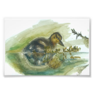 Foto Impresión de acuarela de duckling