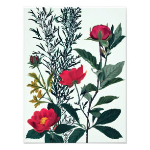 Foto Impresión de arte con abstración floral vibrante