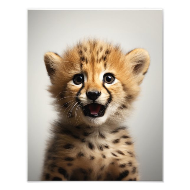 Foto Impresión de arte de chitas para bebés | Arte de g (Frente)