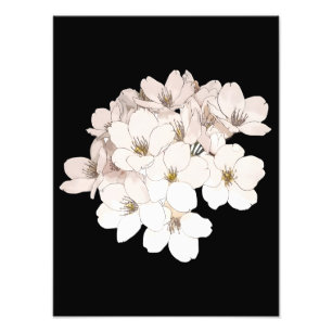 Foto Impresión de arte exquisita de flor de cerezo
