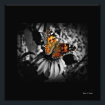 Foto Impresión de arte Lady Butterfly SC pintado<br><div class="desc">Esta hermosa obra de arte fotográfico será definitivamente una pieza de conversación para invitados o clientes a su casa o oficina. Una hermosa visión del pincel de dioses en el trabajo,  capturado por el galardonado fotógrafo floral Stan V. Griep - Colorado,  EEUU. ¡Una obra de arte selectiva verdaderamente maravillosa!</div>