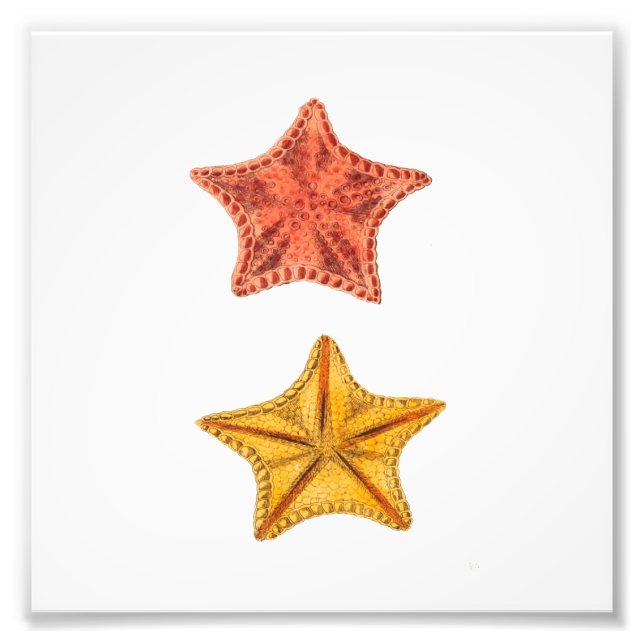 Foto Impresión de baño de Starfish Beach Sea Nautical (Frente)
