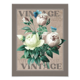 Foto Impresión de Bella Artes de Rosa de vintage antigu