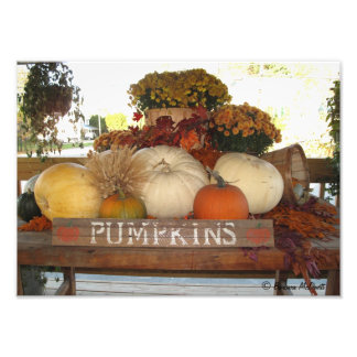 Foto Impresión de bienvenida de calabaza