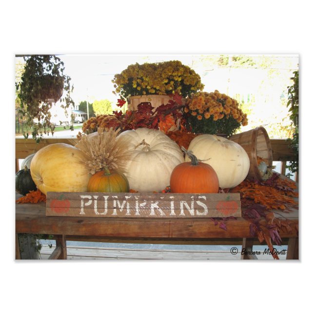 Foto Impresión de bienvenida de calabaza (Frente)