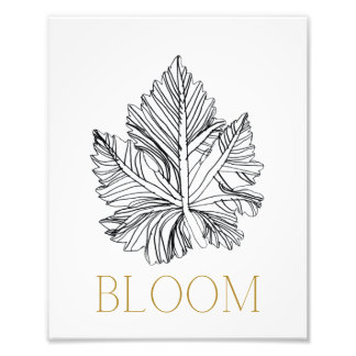 Foto Impresión de BLOOM