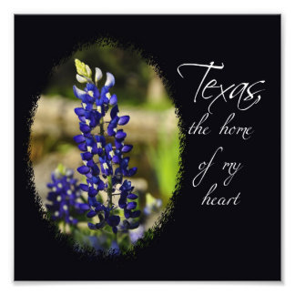Foto Impresión de Bluebonnet "Texas, el hogar de mi cor
