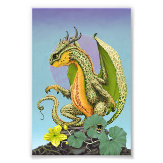 Foto Impresión de Cantaloupe Dragon 4x6