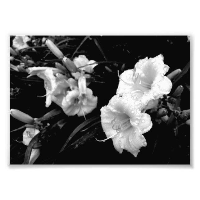 Foto Impresión de capas en blanco y negro (Frente)