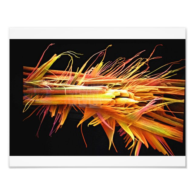 Foto Impresión de cristales de cafeína (Frente)