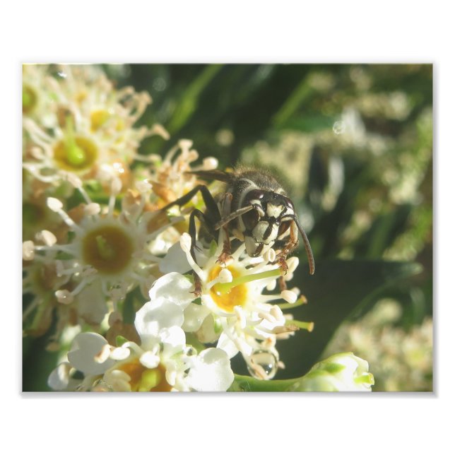 Foto Impresión de cuentagotas con cara calva (Frente)
