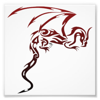 Foto Impresión de dragón