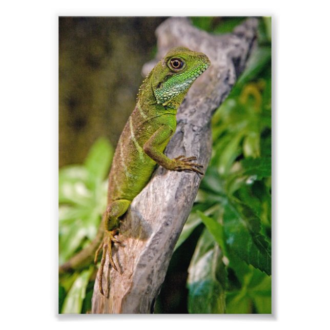 Foto Impresión de drenaje de agua china (Frente)