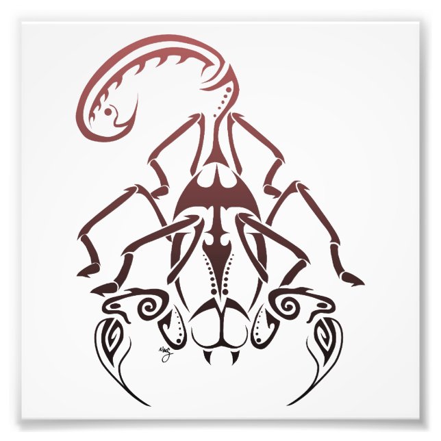 Foto Impresión de escorpión (Frente)