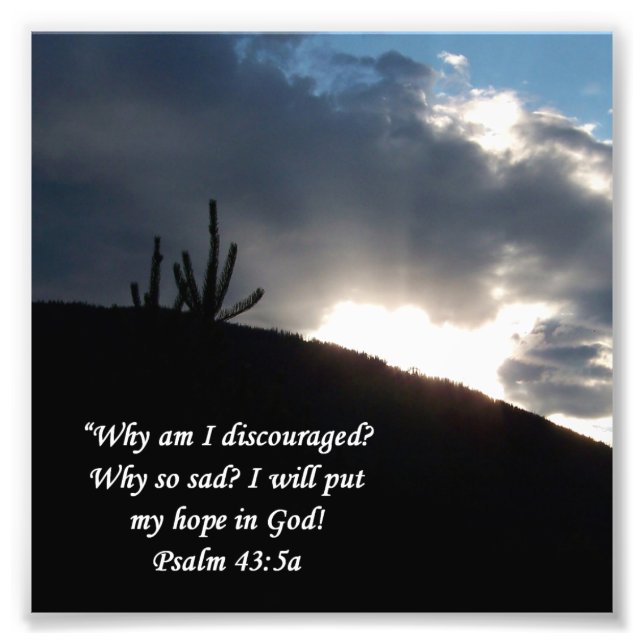 Foto Impresión de estímulo de escenas del desierto Psal (Frente)